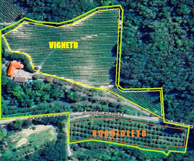 Immobiliari nel monferrato - Piedmont Houses